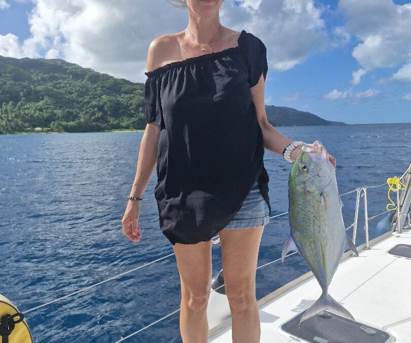 Croisière Catamaran 8 jours 7 nuits