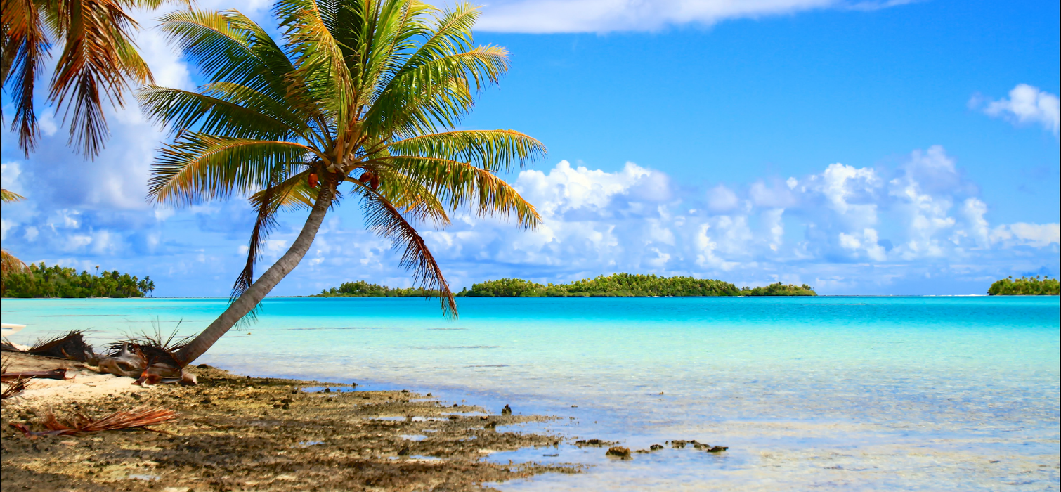 Lagon de Rangiroa à découvrir en croisière catamaran