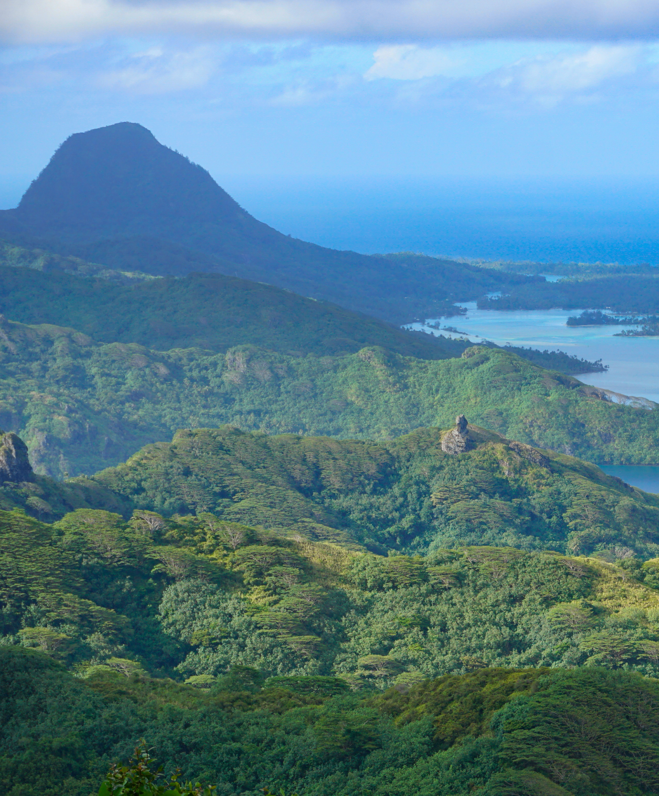 Nature luxuriante de Huahine pendant une croisière en catamaran en Polynésie