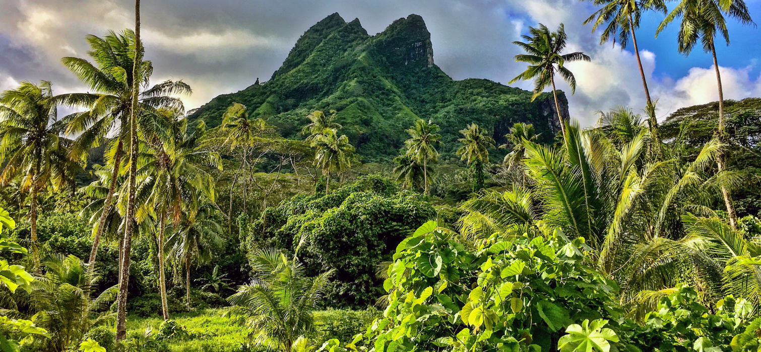 Nature luxuriante de Raiatea pendant une croisière en Polynésie