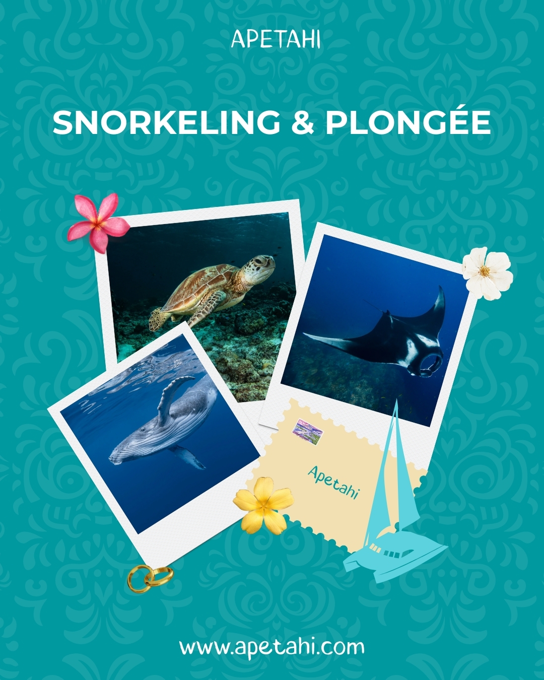 Snorkeling et découverte des fonds marins en Polynésie